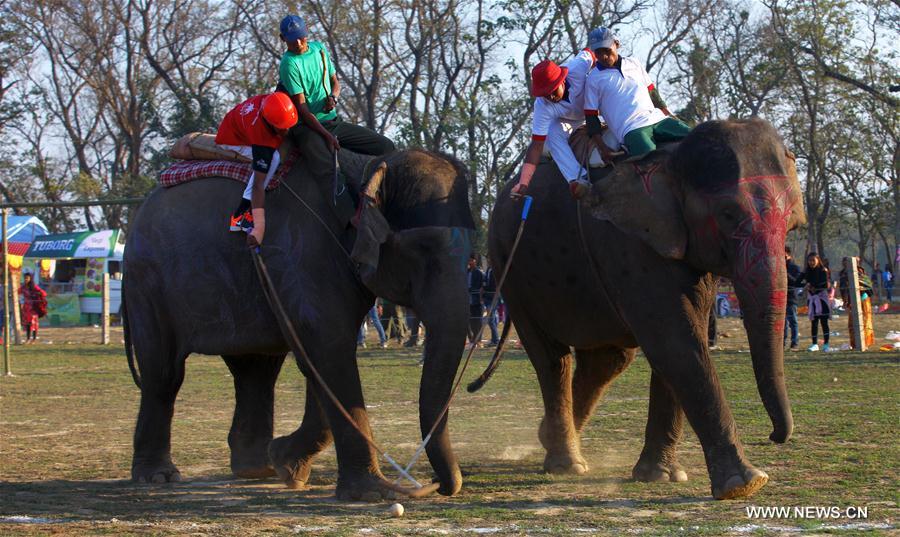 NEPAL-CHITWAN-14TH ELEPHANT FESTIVAL