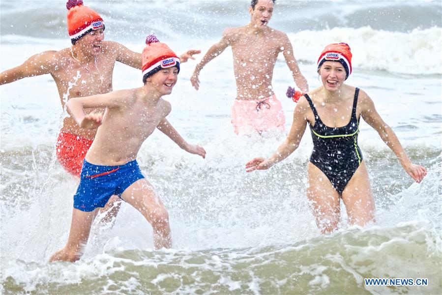 NETHERLANDS-BLOEMENDAAL-NEW YEAR-CELEBRATION