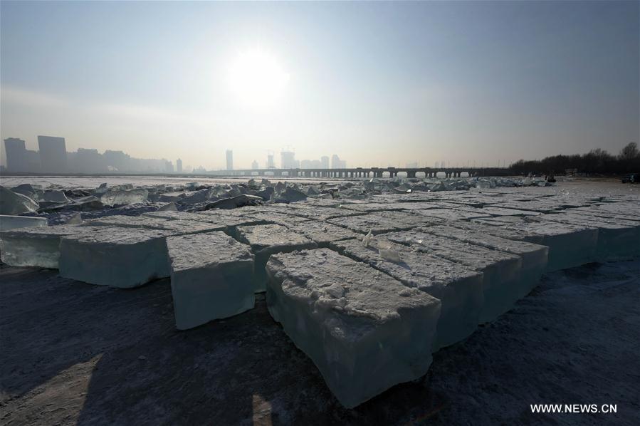 CHINA-HARBIN-ICE CUBE (CN)