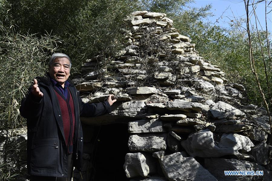 CHINA-JINAN-FOREST FARM-ENTERPRISE GROUP (CN)