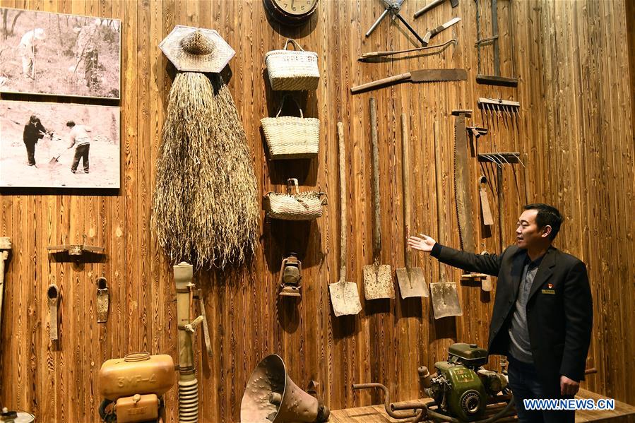 CHINA-JINAN-FOREST FARM-ENTERPRISE GROUP (CN)