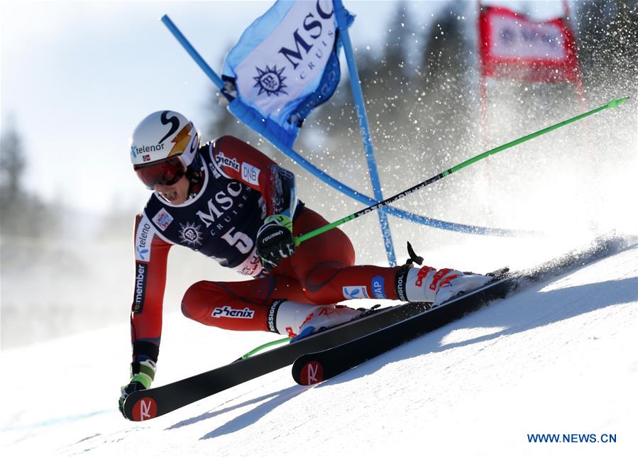 (SP)SWITZERLAND-ADELBODEN-ALPINE SKIING-FIS WORLD CUP-MEN'S GIANT SLALOM