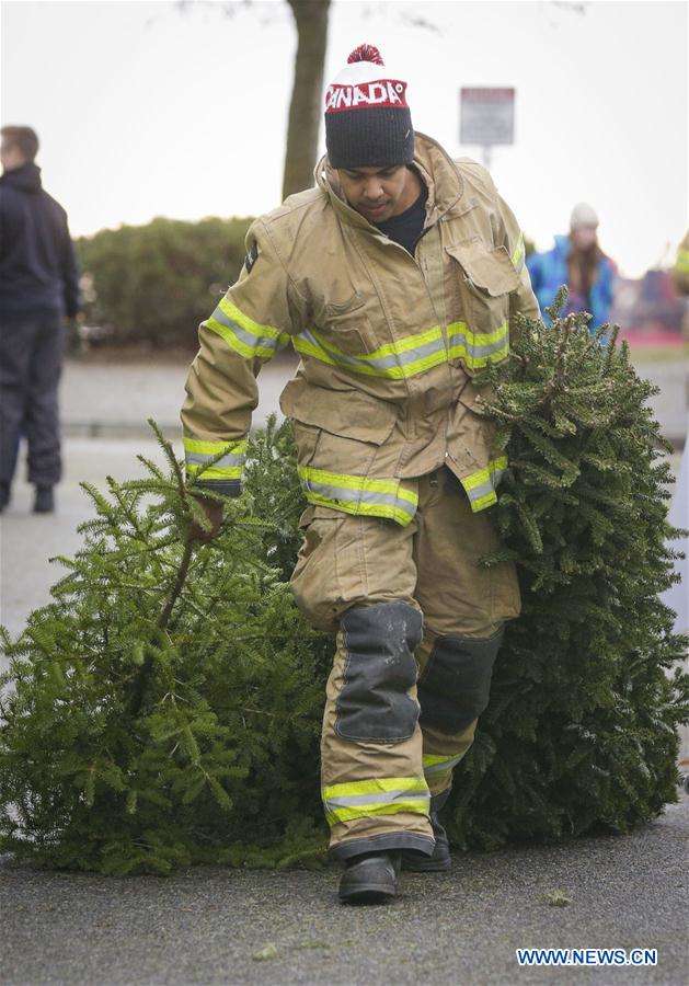 Firefighters collect Christmas trees for recycling in Richmond, Canada
