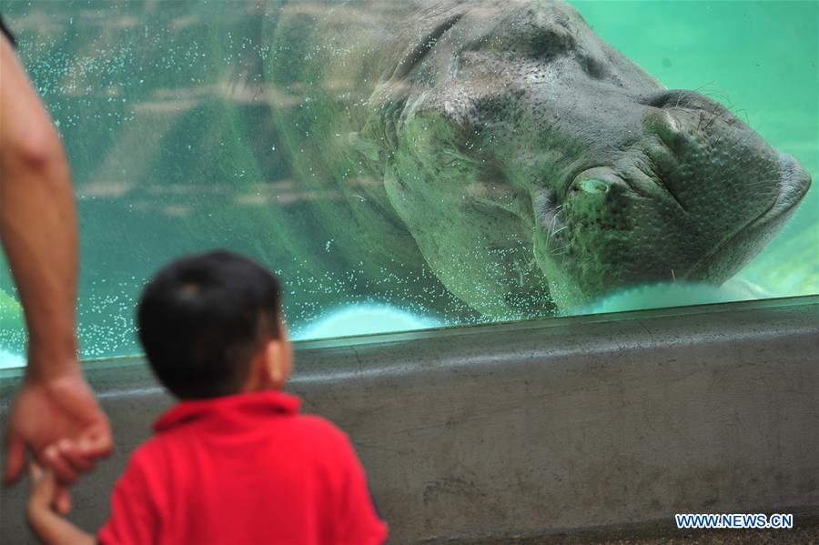 THAILAND-BANGKOK-ANIMAL-ZOO
