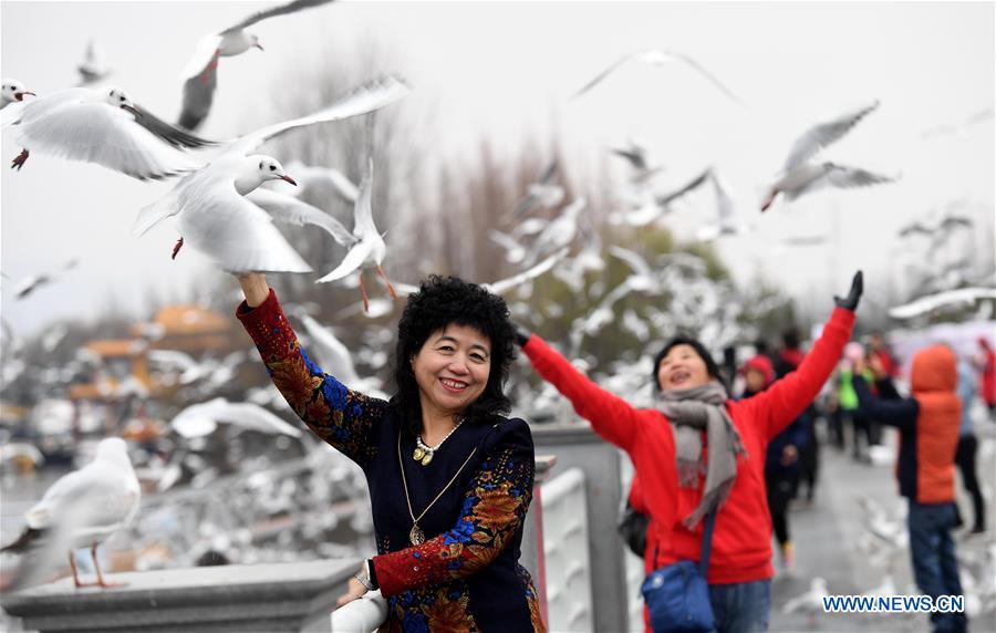CHINA-YUNNAN-KUNMING-BLACK-HEADED GULLS (CN)