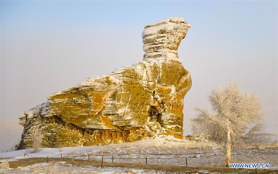 CHINA-INNER MONGOLIA-RIME SCENERY(CN)