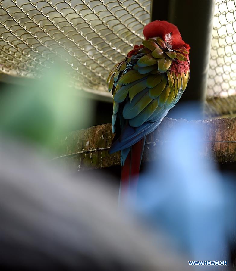 CHINA-TAIPEI-ZOO (CN)