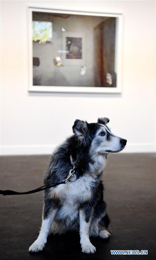 U.S.-SAN FRANCISCO-FOG DESIGN + ART FAIR