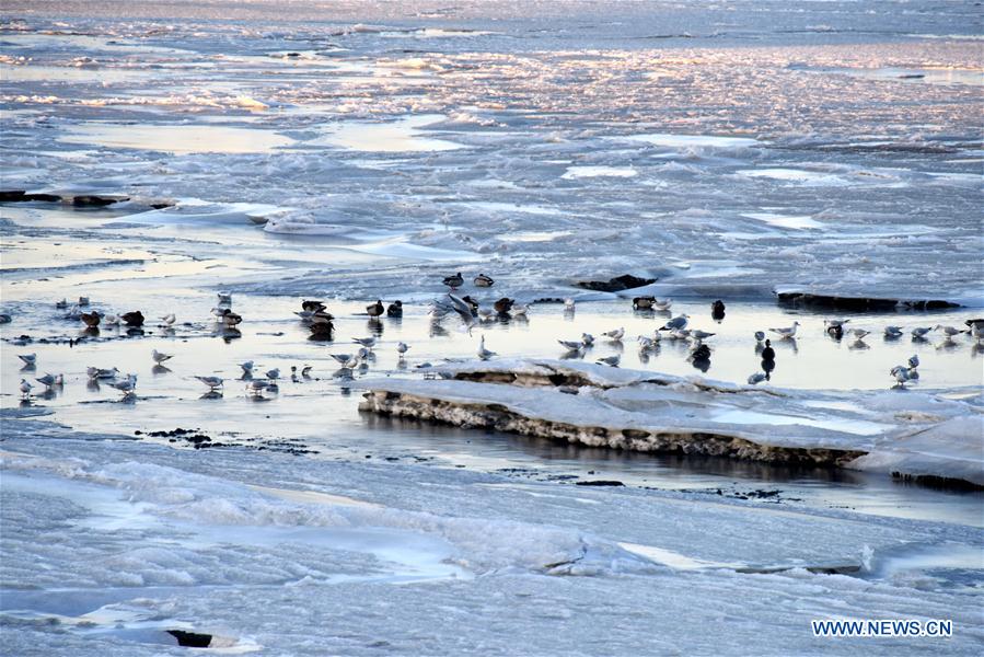 CHINA-SHANDONG-QINGDAO-ICE ON SEA (CN)