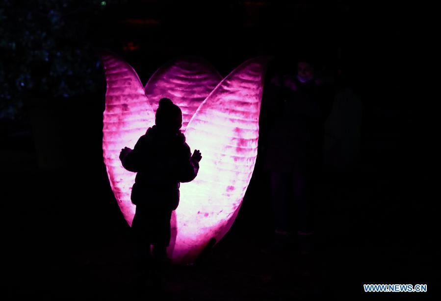 GERMANY-FRANKFURT-LIGHTS SHOW