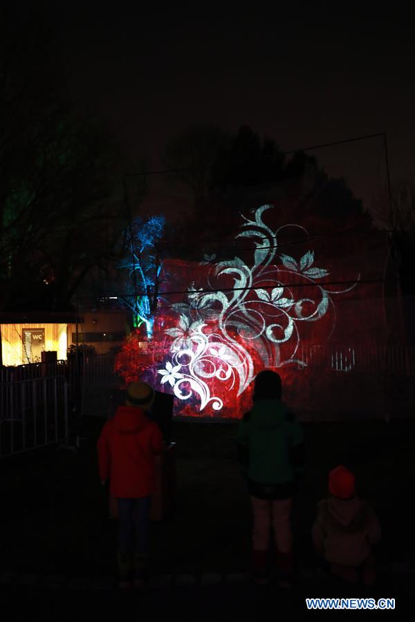 GERMANY-FRANKFURT-LIGHTS SHOW