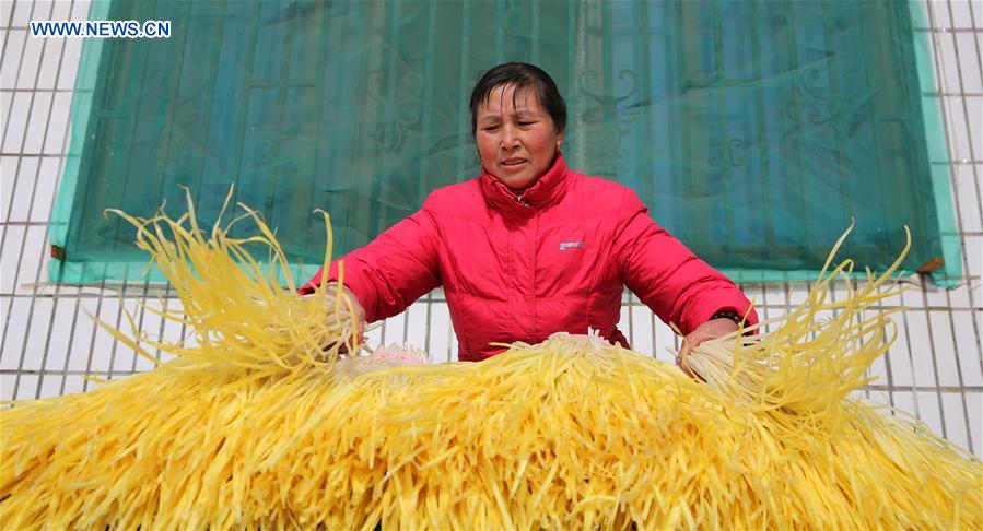 #CHINA-JIANGSU-FARMING-VEGETABLE (CN)