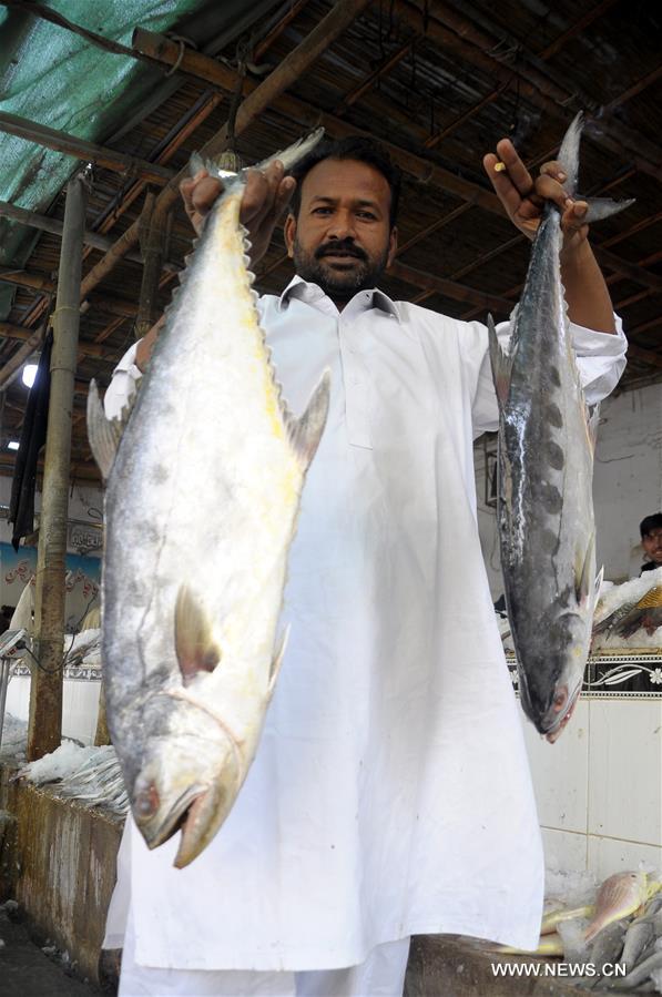 In pics fish market in southern Pakistan Xinhua English.news.cn