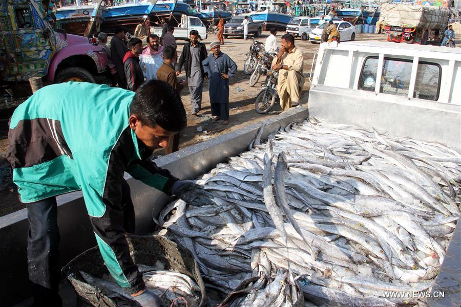 PAKISTAN-KARACHI-FISHING