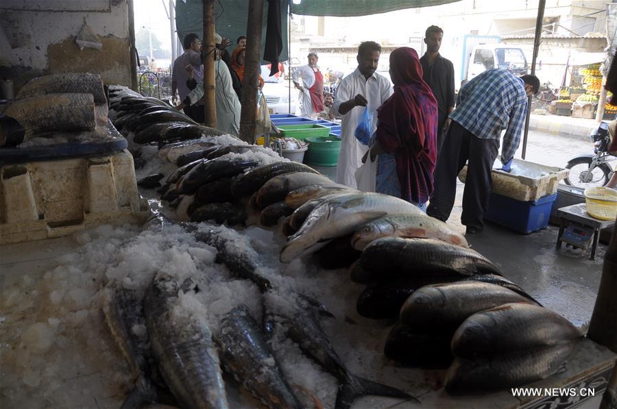 PAKISTAN-KARACHI-FISHING