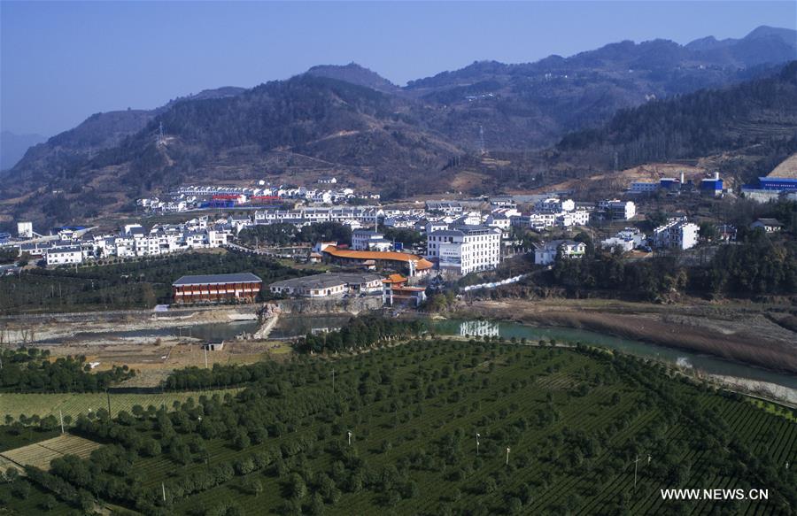 CHINA-SHAANXI-TEA PLANTING INDUSTRY (CN)