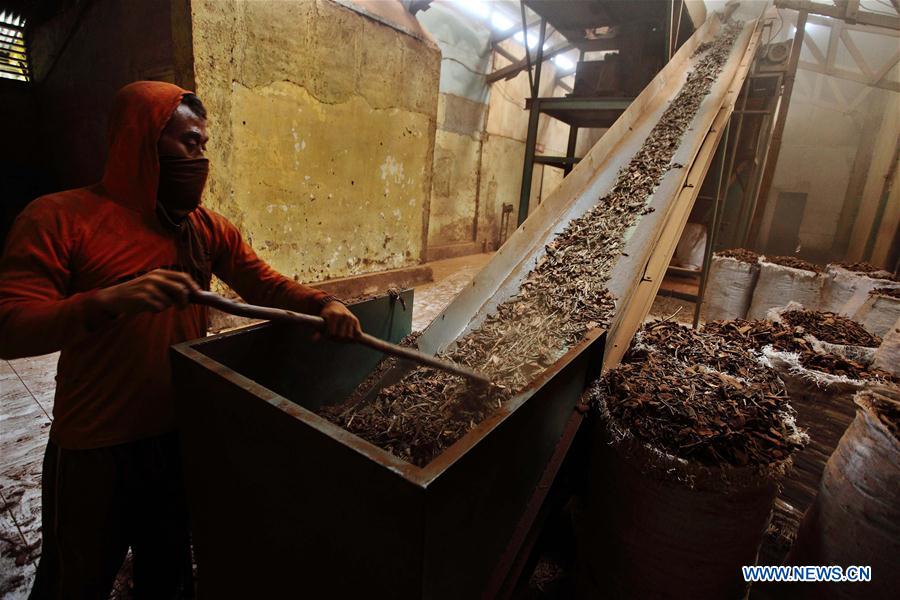 INDONESIA-BANDUNG-QUININE