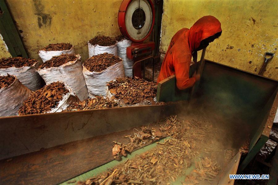 INDONESIA-BANDUNG-QUININE