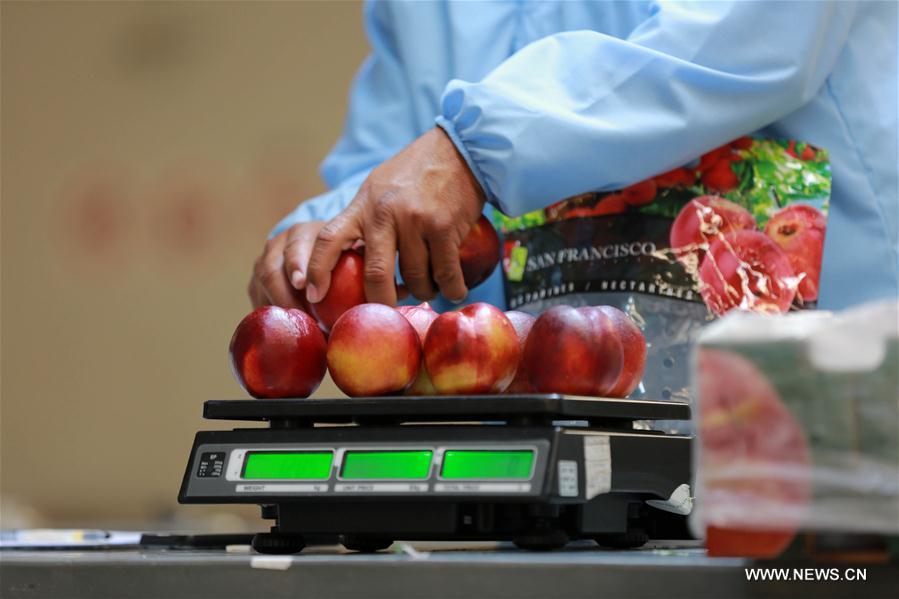 CHILE-MOSTAZAL-FRUIT PRODUCER-CHINA-EXPORT