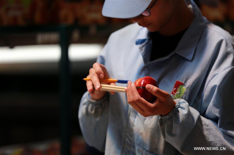 CHILE-MOSTAZAL-FRUIT PRODUCER-CHINA-EXPORT