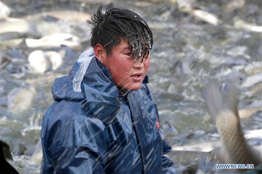 #CHINA-JIANGSU-XUYI-FISHING (CN)
