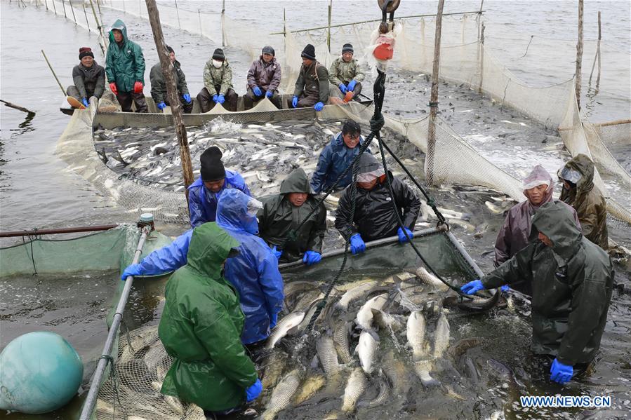 #CHINA-JIANGSU-XUYI-FISHING (CN)