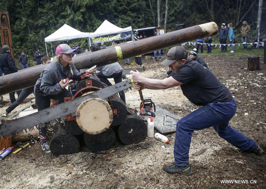 CANADA-VANCOUVER-LOGGERS COMPETITION