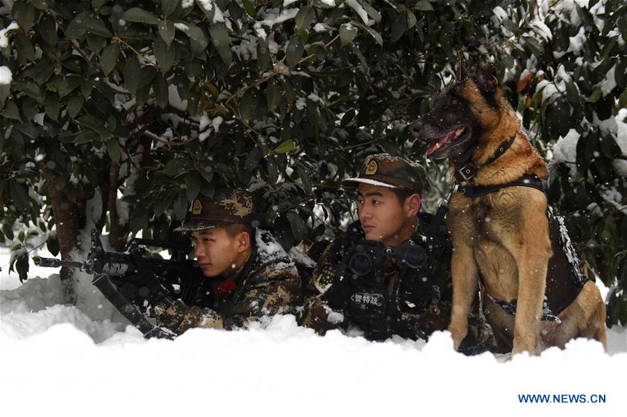 #CHINA-HEFEI-POLICE DOG (CN)
