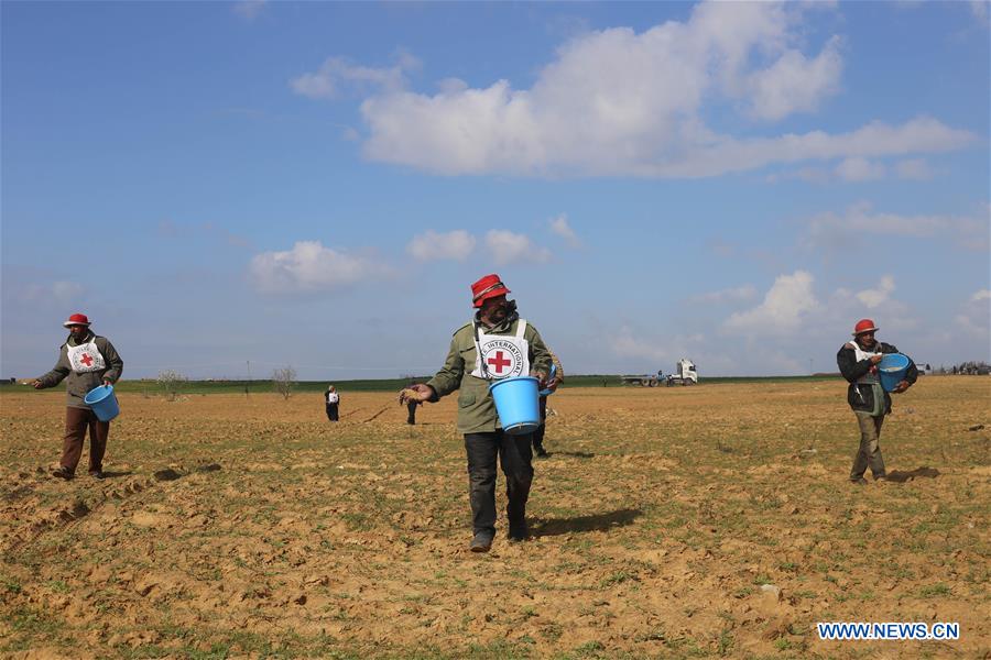 MIDEAST-GAZA-RED CROSS-FARMERS