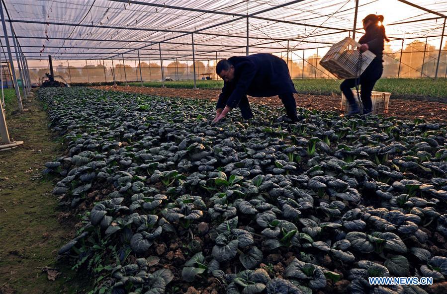 CHINA-ZHEJIANG-HE DEXING-VILLAGE-DEVELOPMENT (CN)