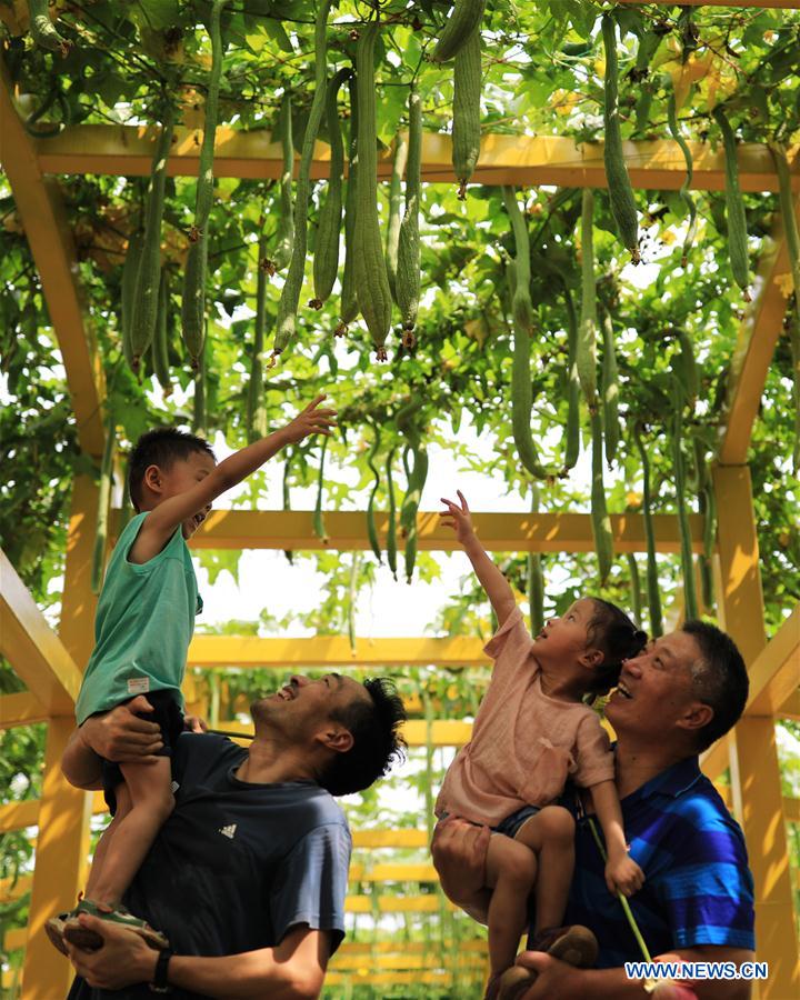 CHINA-ZHEJIANG-HE DEXING-VILLAGE-DEVELOPMENT (CN)