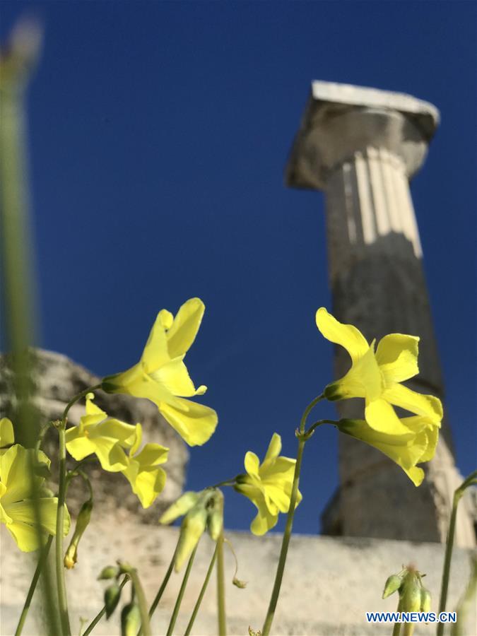 GREECE-ATHENS-APHAIA TEMPLE