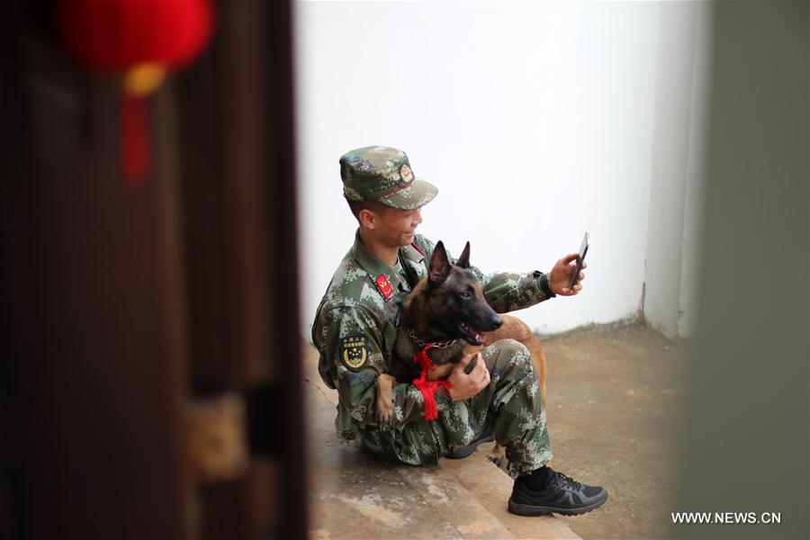 #CHINA-HAINAN-POLICE DOG-SPRING FESTIVAL-YEAR OF DOG(CN)