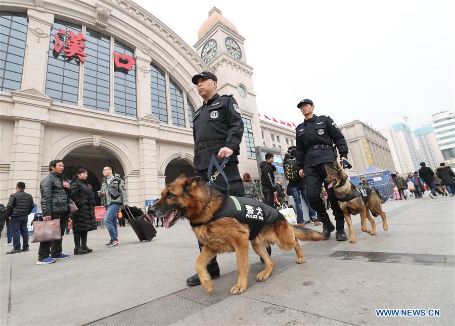 #CHINA-WUHAN-RAILWAY STATION-POLICE DOG (CN)