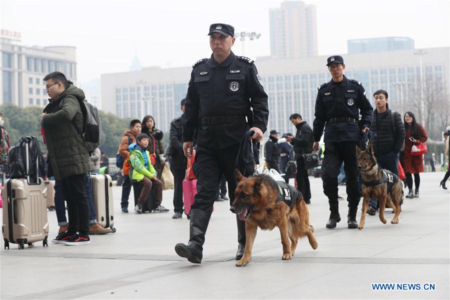 #CHINA-WUHAN-RAILWAY STATION-POLICE DOG (CN)