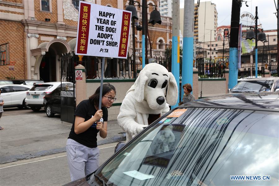 THE PHILIPPINES-MANILA-ANIMAL RIGHTS