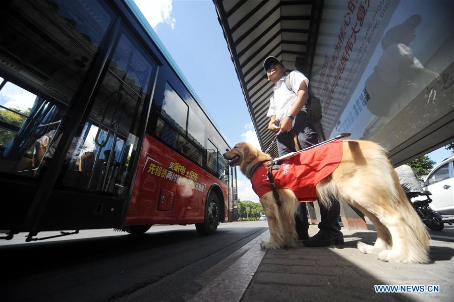 CHINA-DOG OF YEAR-APPROACHING (CN)