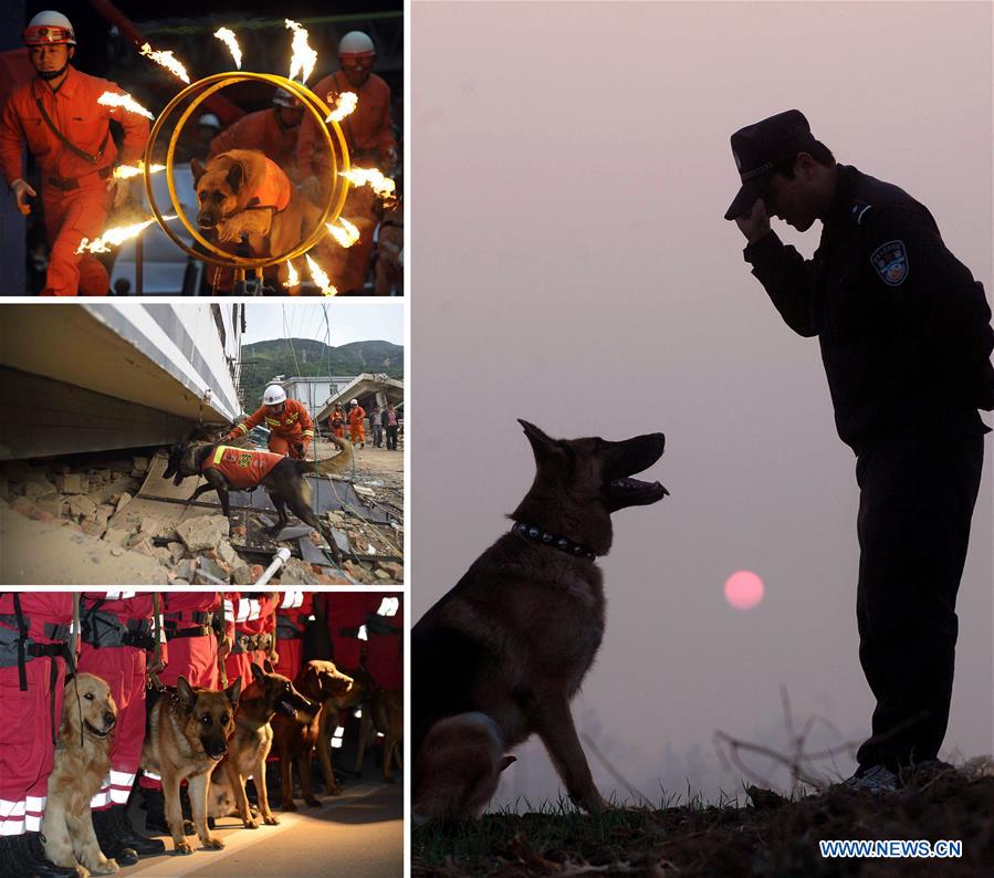 CHINA-YEAR OF DOG-APPROACHING (CN)