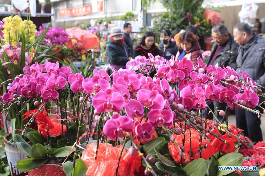 #CHINA-FLOWER-SPRING FESTIVAL(CN)