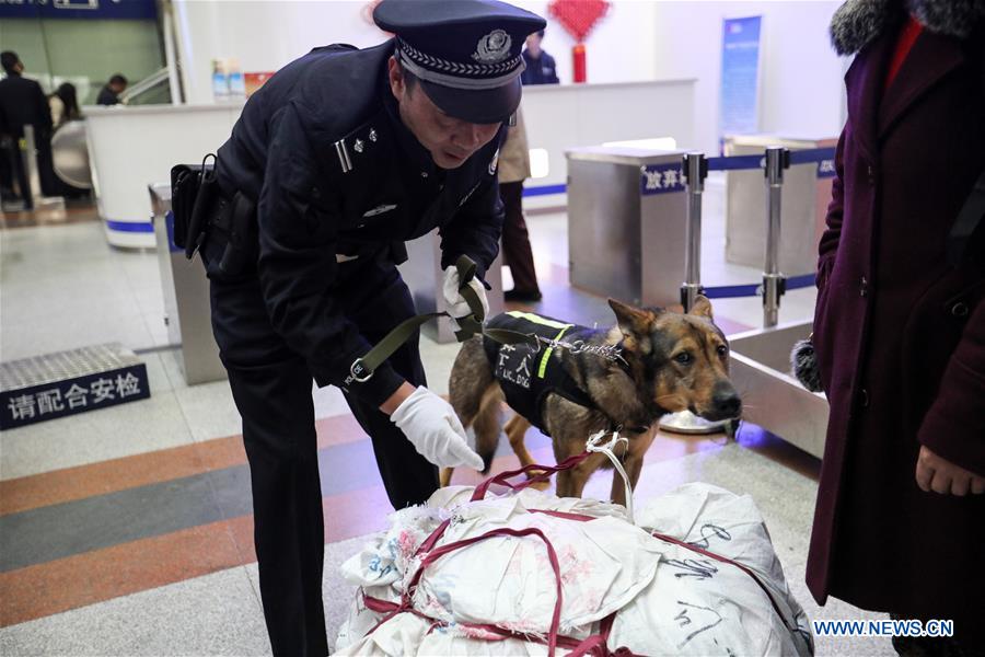 CHINA-GUIYANG-POLICE DOG (CN)