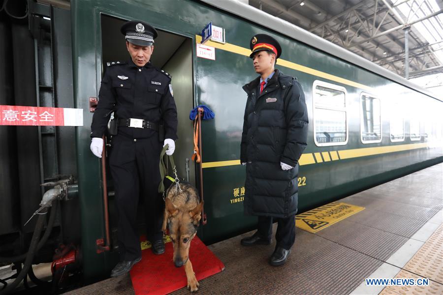 CHINA-GUIYANG-POLICE DOG (CN)