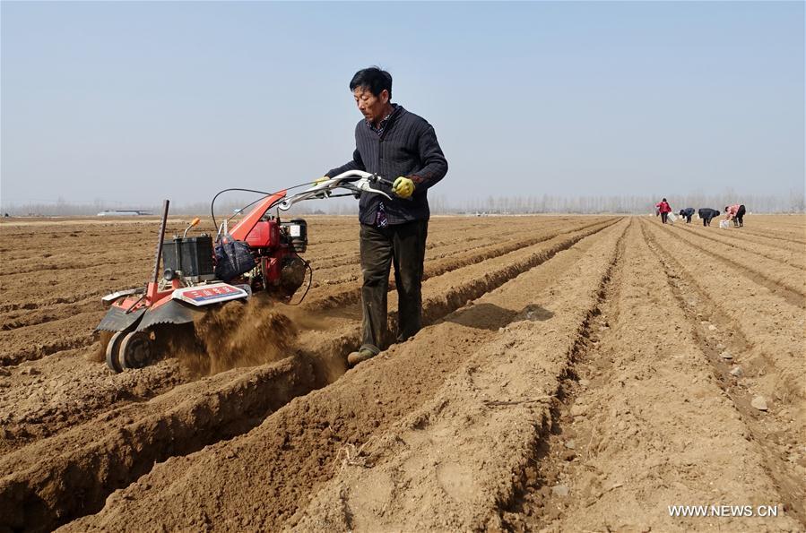 #CHINA-HAINAN-SPRING-AGRICULTURE(CN)