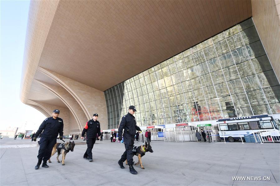 CHINA-SHIJIAZHUANG-POLICE DOG(CN)
