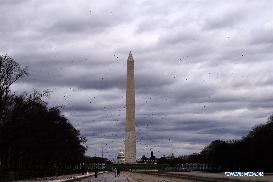 U.S.-WASHINGTON D.C.-WINDSTORM