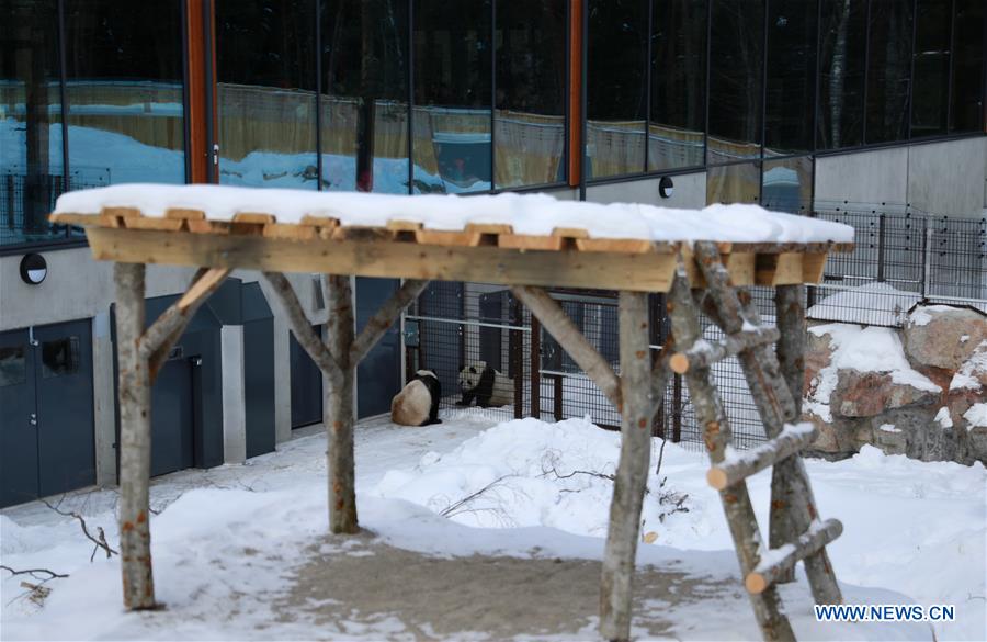 FINLAND-AHTARI ZOO-GIANT PANDAS