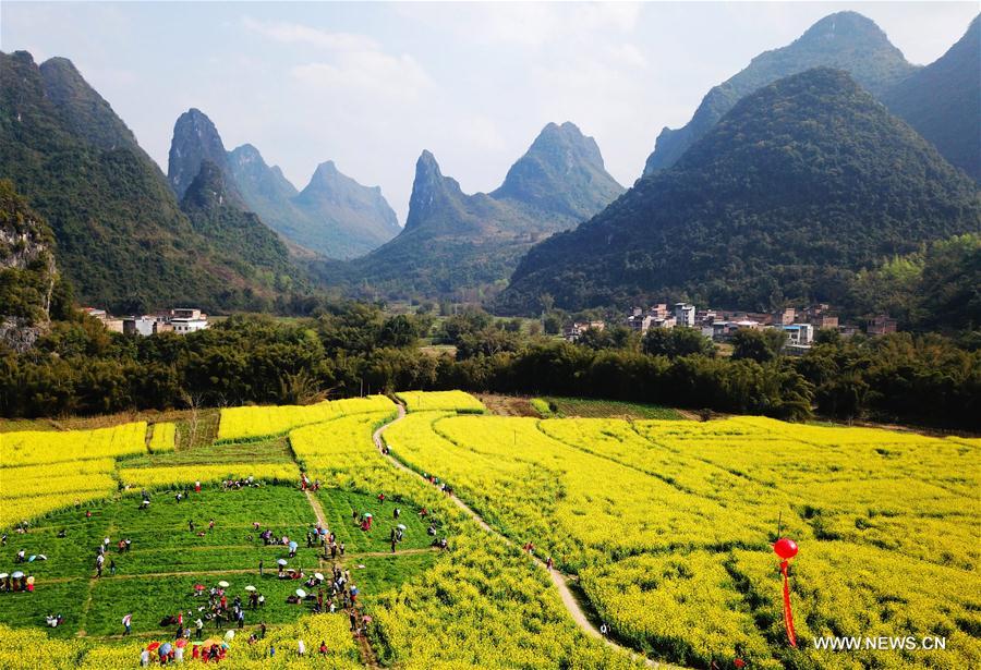 #CHINA-EARLY SPRING SCENERY-FLOWERS (CN)
