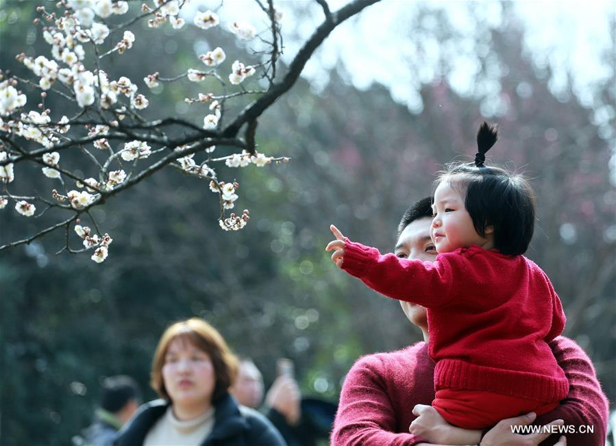#CHINA-SPRING-BLOSSOMING FLOWERS (CN)
