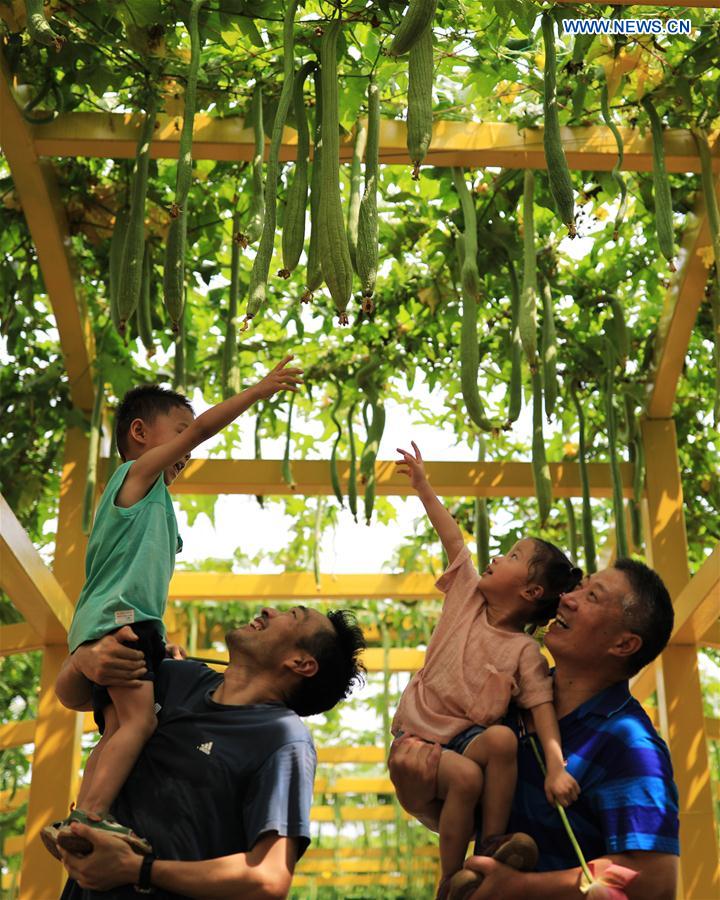 Xinhua Headlines: Annual NPC session unveils China's action plan for rejuvenation