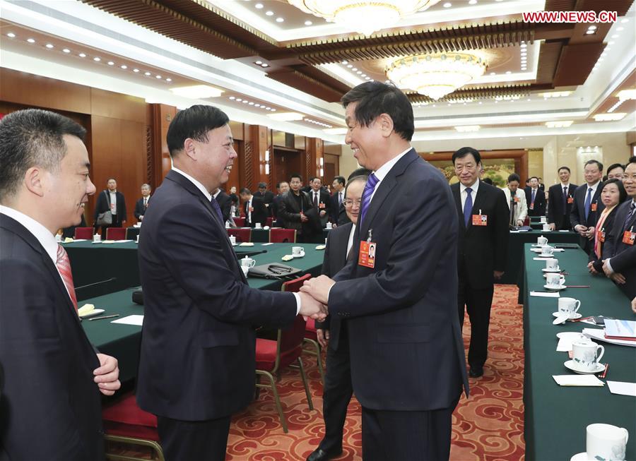(TWO SESSIONS)CHINA-BEIJING-LI ZHANSHU-NPC-PANEL DISCUSSION (CN)
