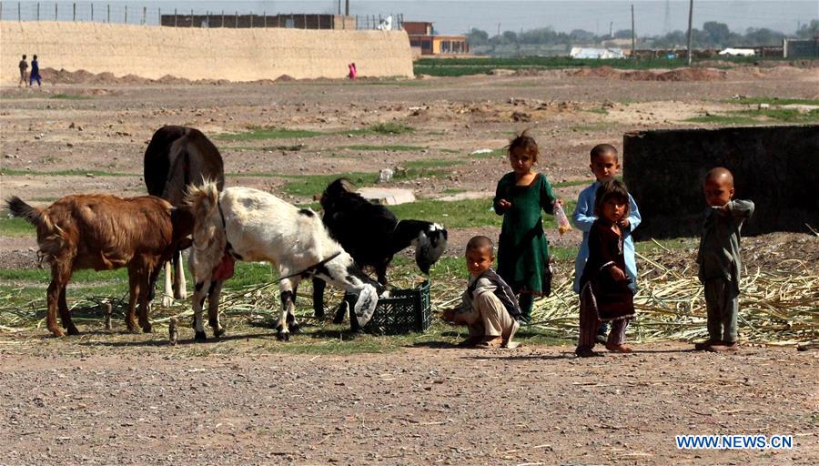 PAKISTAN-NOWSHERA-DOMESTICALLY DISPLACE